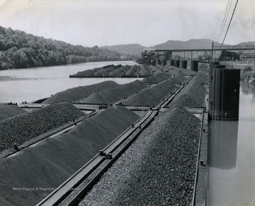 Group of coal pans waiting to be towed on the Monongahela River, Monongalia County, West Virginia.