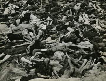Over its twelve years as a concentration camp, the Dachau administration recorded the intake of 206,206 prisoners and 31,951 deaths. This number varies according to the source but the totals are overwhelming regardless. Photographic evidence of the Holocaust, such as this, extinguished claims that reports of horrific Nazi Death Camps was Allied propaganda.