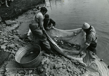 Caption on photo reads: "Wildlife protection is a major concern of the West Virginia Department of Highways when building roads across the state. Department of Natural Resources employees are shown assisting the DOH in a recent rescue operation involving two ponds of fish near the Marmet Interchance on the West Virginia Turnpike."