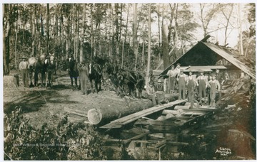 Unidentified workers pose at a lumber mill.