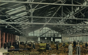 Men stand in warehouse filled with tobacco. See original for correspondence. (From postcard collection legacy system.)