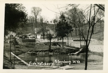 Outside view of fish hatchery. (From postcard collection legacy system.)