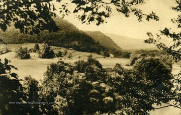View from inside of the woods of the rolling hills of W. Va. Published by The Albertype Company. (From postcard collection legacy system.)