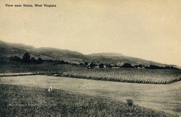 View of farmland near Union, W. Va.. Published by Monroe Drug Company. (From postcard collection legacy system.)