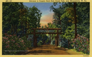 Caption on back of postcard reads: "Amid a profusion of rhododendron are picnic tables, shelters, open fireplaces and other facilities. Miles of shaded trails invite exploration among the niches and clefts in the huge rock which once sheltered a cooper fleeing justice and thereby earned its name." Published by Minsky Brothers and Company. (From postcard collection legacy system.)