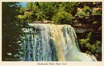 Caption on back of postcard reads: "This beautiful falls 65 ft. high, is located in Blackwater Falls State Park near Davis, West Virginia. Skiing, hotels, motels, and restaurants nearby; also modern lodge and deluxe cabins are available at Blackwater Falls State Park in beautiful West Virginia." Published by Curteich. (From postcard collection legacy system.)