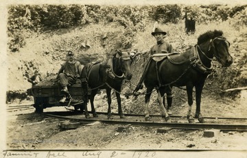 "Fannie and Nell" are the names of the mules.  (From postcard collection legacy system--subject.)