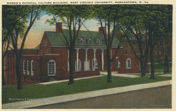 Building now known as Elizabeth Moore Hall. Published by Stenger's News Stand. (From postcard collection legacy system--subject.)
