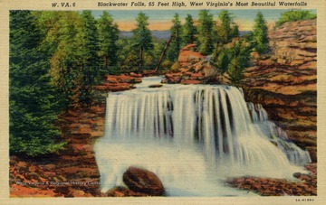 Caption on back of postcard reads: "Near U.S. 219 a Thomas, Tucker County, is Blackwater Falls, 63 feet high. It is the most impressive spot in the rugged gorge of the Blackwater which drains the lovely Canaan Valley, rimmed about by mountains 3,700 feet high. This region was made famous in "Blackwater Chronicles" by Porte Crayon, the pen-name of General David Hunter Strother." See original for correspondence. Published by Tygart Valley News Company. (From postcard collection legacy system--subject.)