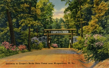 Caption on back of postcard reads: "Cooper's Rock State Forest Park abounds in natural beauties. Entering through a rustic gateway, the visitor is delighted with the profusion of brilliant rhododendrons, the miles of shady trails which invite exploration, the picturesque picnic tables, the hospitable shelters with open fireplaces, together with other facilities planned for their enjoyment. The Park is named after the huge rock which was at one time the refuge of a cooper fleeing from justice." Published by Photo Crafters Incorporated. (From postcard collection legacy system--subject.)