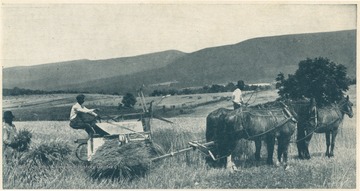 Postcard reads, "The above is a typical harvest scene in the highly productive Valley of Virginia. In the foreground, fertile, undulating fields; in the background, a graceful, forested mountain ridge. George Washington called the Shenandoah Valley the "Garden of America". When in 1861, the Confederate government placed Gen. J. E. Johnston in command in the Lower Valley, he said that section alone would feed an army of 40,000 men. And in this calculation only three counties were considered. Little wonder that the Shenandoah Valley was known as the "Granary of the Confederacy." Published by Shenandoah Publishing House. (From postcard collection legacy system--Non-WV.)