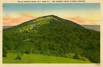Caption on back of postcard reads: "Spruce Knob, the highest point in the Alleghenies, 4860 feet, is reached by motor road from Route 33 at Briery Run Gap, 3 miles north of Riverton, West Virginia." Published by Asheville Post Card Company. (From postcard collection legacy system--subject.)