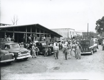 View from the exterior of the market building. Automobiles are seen carting animals away through the crowded road. 