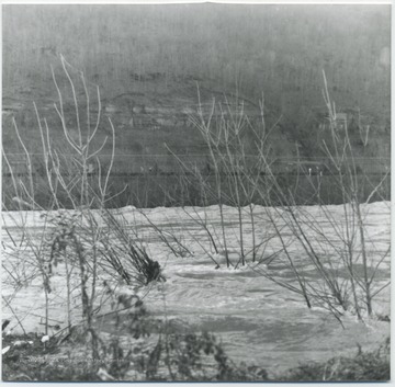 The river crashes through tree branches while the C&amp;O Railroad can be seen running along the bank in the background near Hinton, W. Va.