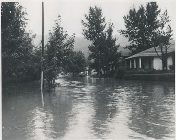 View down Miller Avenue which is completely submerged.