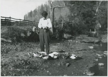 An unidentified men feeds the small flock of chikcens by his feet.