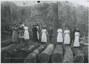 A group of unidentified people stand on top the cut down trees.