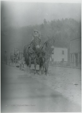 A man guides his two horses through town.