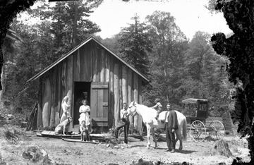 Small boy sits atop white horse on the right while other people hold dogs close by.