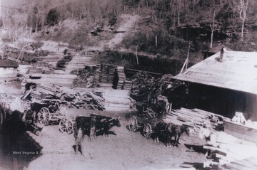 Men and their cattle pictured in the lumber yard located next to the Chesapeake and Ohio Railway station. Note "N" Telegraph Office over the roof of the station.