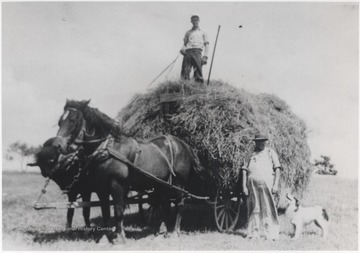 W. M. Arrington stands beside the wagon with his dog, Rex. James Freeman is pictured on top of the wagon which is being pulled by two large horses. 