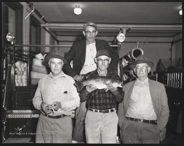 John Lively is pictured holding the fish beside unidentified associates. 