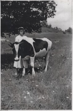 Glenna Shumate attends to her cow at the farm located near War Ridge. 