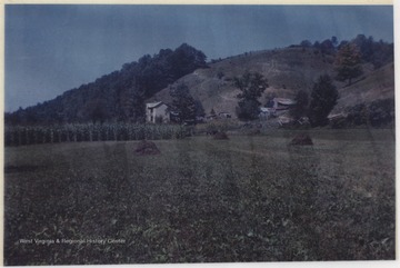 View of the farm land and growing crops which is located near War Ridge. 