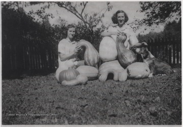 The two Shumate women pose with carefully arranged pumpkins, squash, and gourds. 