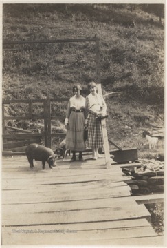 Two unidentified women stand on the wooden bridge watching over the two pigs.