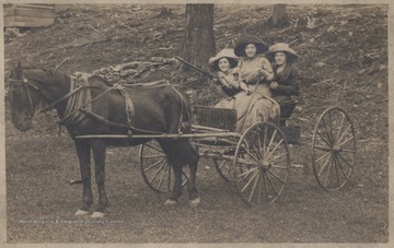 Three women sit inside a horse-drawn carriage. Their first names are unknown. 