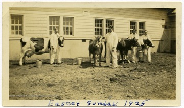 Students pose with cows at the Dairy Farm for a portrait on Easter Sunday.