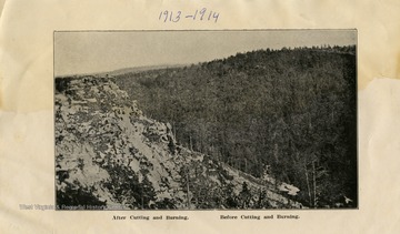 This image is part of the Thompson Family of Canaan Valley Collection. The Thompson family played a large role in the timber industry of Tucker County during the 1800s, and later prospered in the region as farmers, business owners, and prominent members of the Canaan Valley community.This image shows an area of land with trees "After Cutting and Burning" and "Before Cutting and Burning"