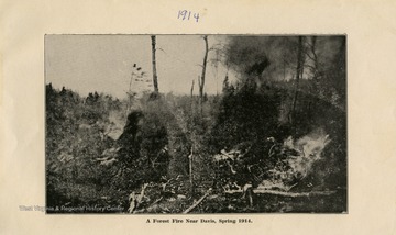 This image is part of the Thompson Family of Canaan Valley Collection. The Thompson family played a large role in the timber industry of Tucker County during the 1800s, and later prospered in the region as farmers, business owners, and prominent members of the Canaan Valley community.A forest fire near Davis, W. Va in the Spring of 1914.