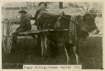 This image is part of the Thompson Family of Canaan Valley Collection. The Thompson family played a large role in the timber industry of Tucker Country during the 1800s, and later prospered in the region as farmers, business owners, and prominent members of the Canaan Valley community. 