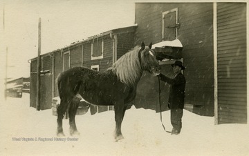 This image is part of the Thompson Family of Canaan Valley Collection. The Thompson family played a large role in the timber industry of Tucker County during the 1800s, and later prospered in the region as farmers, business owners, and prominent members of the Canaan Valley community.An unidentified man stands with a large horse in the snow in Davis, W. Va.
