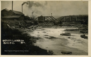 This image is part of the Thompson Family of Canaan Valley Collection. The Thompson family played a large role in the timber industry of Tucker County during the 1800s, and later prospered in the region as farmers, business owners, and prominent members of the Canaan Valley community.View of logs in river near Babcock Lumber Company in Davis, W. Va.
