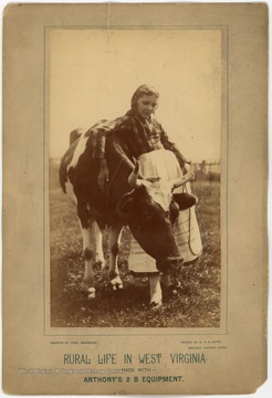 An unidentified young girl poses with a cow for this 'Rural Life in West Virginia' advertisement.