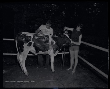 An unidentified boy and girl help each other bathe a cow.