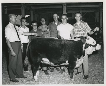 Group of boys accepting their award for their cow. 