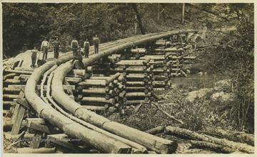 Loggers pose on a bridge of logs. Walter Lewis pictured in the white shirt on the left. Other subjects unidentified. 