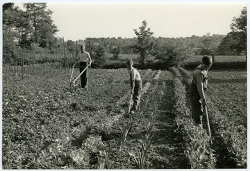 Three members of the MacDonald family tend to their farm in Berkeley County W. Va.  The MacDonald family likely acted as a model family for Extension Service advertisements.