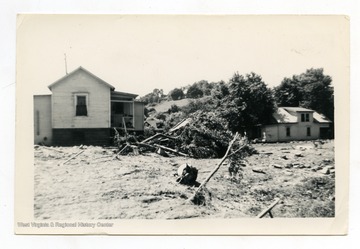 Fallen trees behind a West Union house after the flood of 1950.