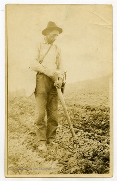 W. A. Lawson fertilizes potato crop through funnel.