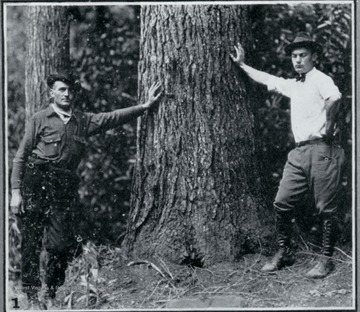 Photograph from "The Hardwood Bark," a periodical journal published by the W. M. Ritter Lumber company in the interest of its employees.This image is on a page with several other photos titled "In Hazel Creek Woods." The caption for this photo reads:"1. D. M. Cuthbertson, Woods Superintendent, and J.W. Fischer, Mill Superintendent, both of whom ought to know better than to try to PUSH over one of Hazel Creek's finest. "