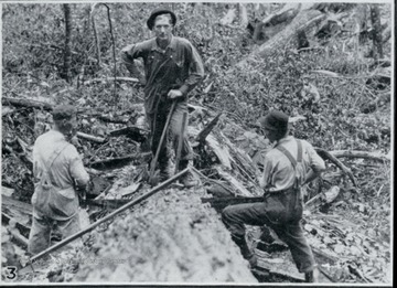 Photograph from "The Hardwood Bark," a periodical journal published by the W. M. Ritter Lumber company in the interest of its employees.This image is on a page with several other photos titled "In Hazel Creek Woods." The caption for this photo reads:"3. Dillard Hall on top of the log, with Jim Nicholas and Bill Proctor riding the saw."