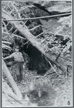 Photograph from "The Hardwood Bark," a periodical journal published by the W. M. Ritter Lumber company in the interest of its employees.This image is on a page with several other photos titled "In Hazel Creek Woods." The caption for this photo reads:"5. No, this is not the location of a still. It is an abandoned copper mine where we are now logging, with D.M. Cuthbertson in the foreground."