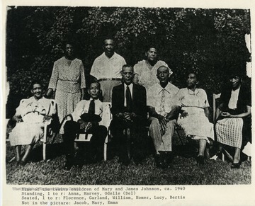 A picture of nine out of the twelve children of James and Mary Johnson.Standing, left to right: Anna, Harvey, Odelle ("Del").Seated, L to R: Florence, Garland, William, Homer, Lucy, Bertie.Not pictured: Jacob, Mary, Emma.